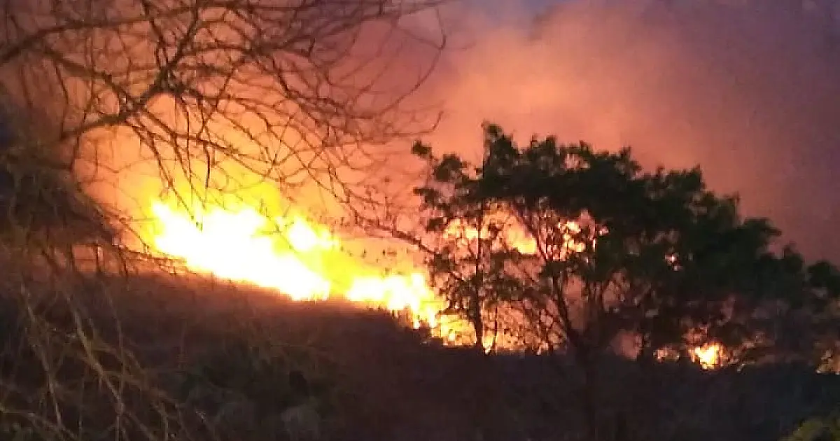 Incêndio consome vegetação próxima ao Mirante da Capivara