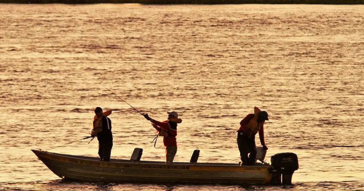 Período de defeso inicia em 5 de novembro e pesca fica proibida em MS