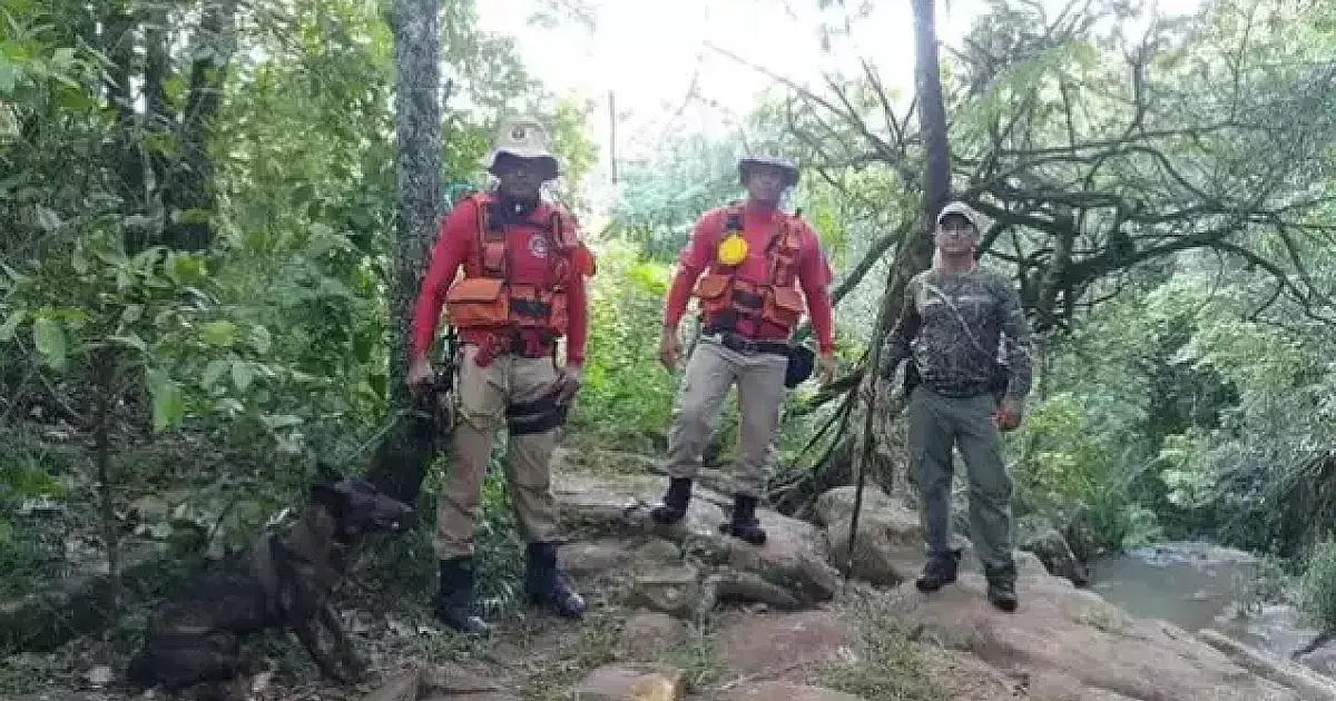 Bombeiros encerram busca por idosa desaparecida em trilha