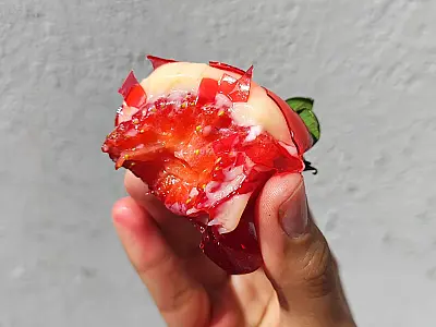 Curso gratuito de Morango do Amor será realizado em Ladário