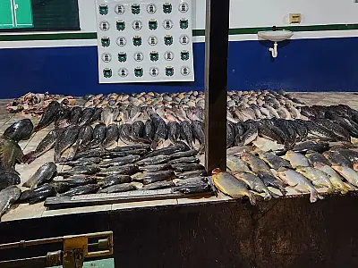 Pescador é multado em R$ 9 mil por pescado irregular no rio Paraguai
