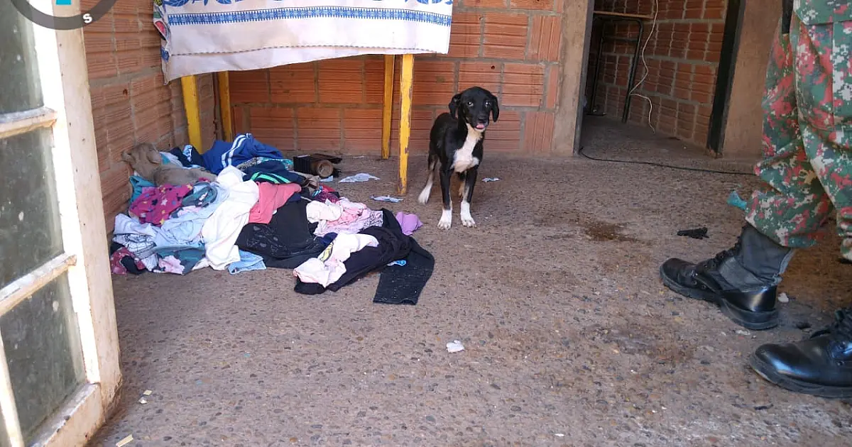 PMA autua mulher por maus-tratos ao se mudar e deixar cachorros e galinhas sem alimento