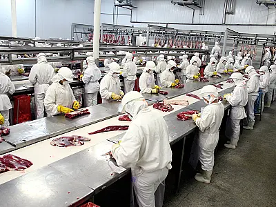 Exportação de industrializados alcançou em setembro o melhor resultado em toda a série história