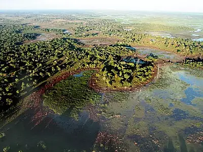 Proprietários de 32 mil imóveis em MS devem regularizar áreas na faixa de fronteira