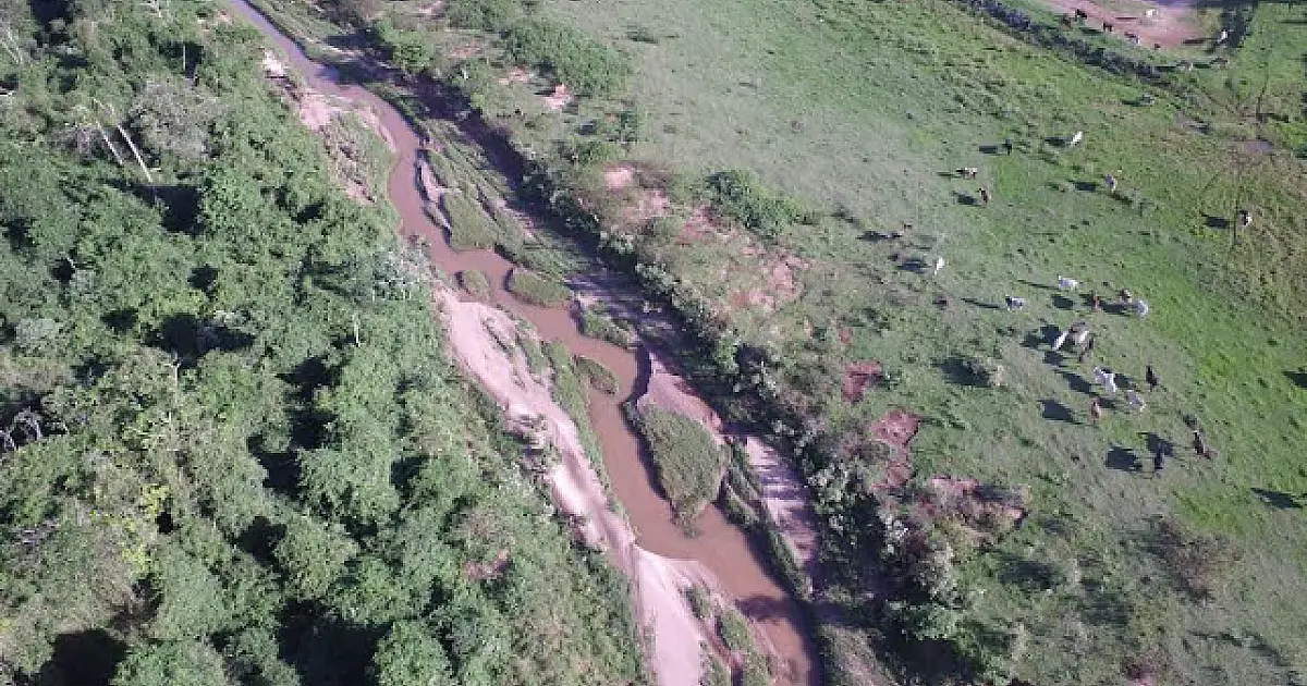 Proprietário de sítio é multado em R$ 5 mil por degradar área ambiental protegida