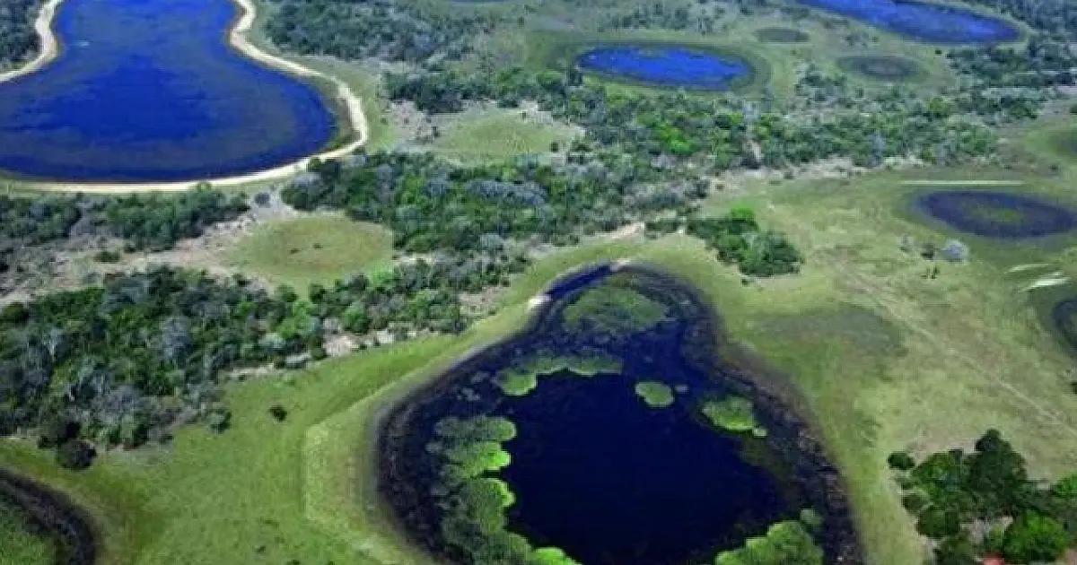 Municípios têm até 31 de março para garantir recursos do ICMS Ecológico