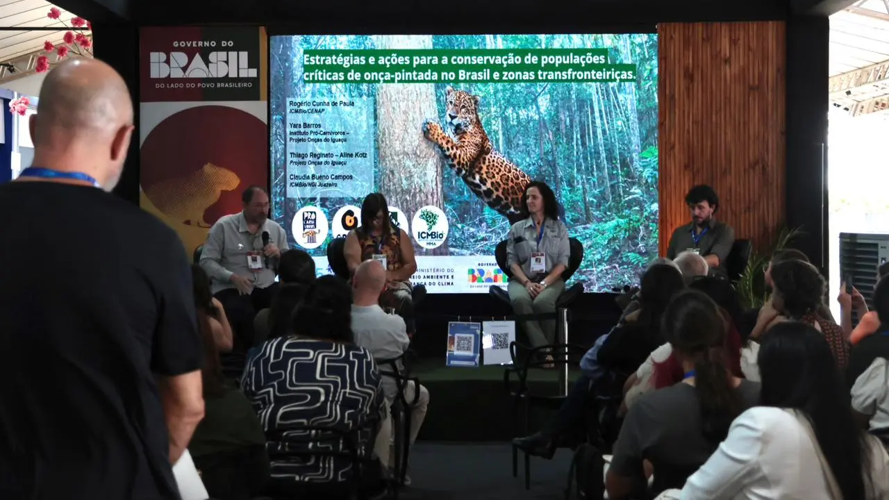 Pesquisadores e autoridades debatem conservação da onça-pintada na COP15. (Foto: Madu Livramento/Jornal Midiamax)
