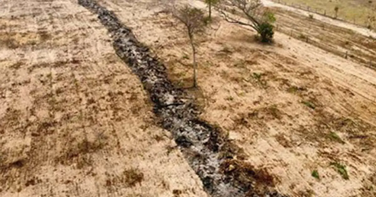 Duas empresas são investigadas por incêndios que destruiu 86 hectares no Pantanal