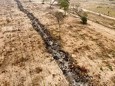 Duas empresas são investigadas por incêndios que destruiu 86 hectares no Pantanal