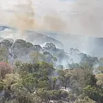 MPMS e Sejusp oficializam força-tarefa permanente contra crimes ambientais no Pantanal