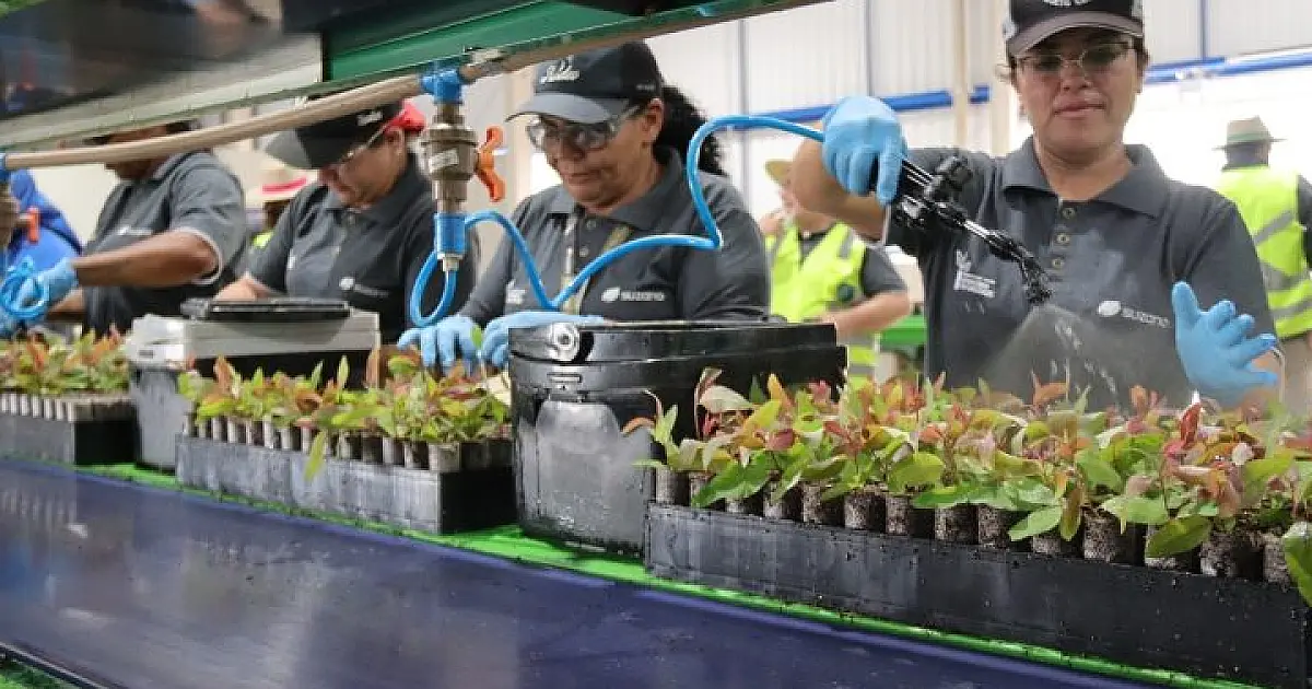 Governo de MS anuncia novas oportunidades de capacitação profissional para mulheres