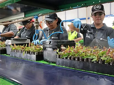 Governo de MS anuncia novas oportunidades de capacitação profissional para mulheres