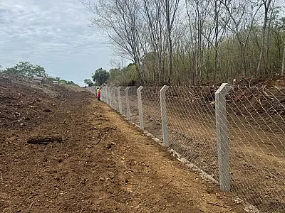 Faixa da BR-262 recebe ações para reduzir mortes de animais no Pantanal