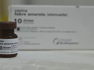 MS completa 10 anos sem casos de febre amarela humana