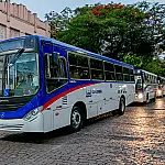 Corumbá terá transporte gratuito nos dias 22 e 23 durante o Banho de São João
