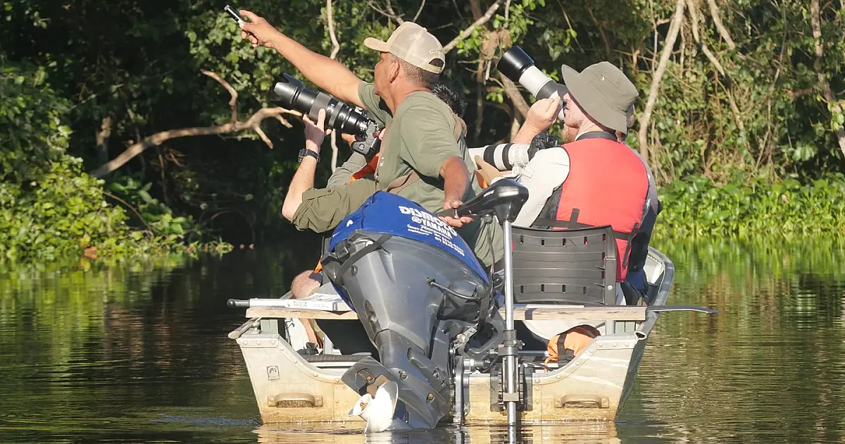 Ação com operadores coloca o Pantanal como destino internacional para observação de aves