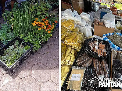 Como começar o ano bem: fé, ervas e tradições populares em Corumbá