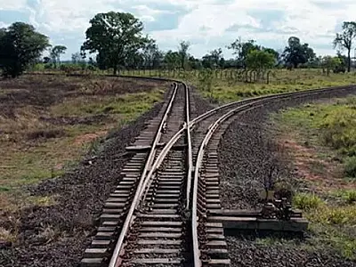Riedel defende repactuação da Malha Oeste para evitar anos de incerteza
