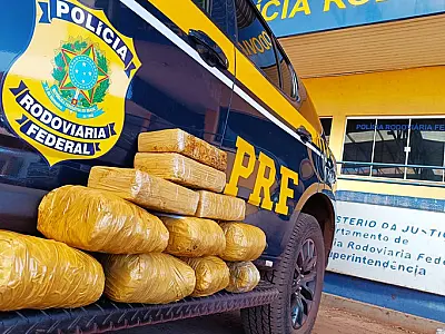 Mulher é presa pela PRF transportando 11,8 kg de skunk em ônibus na BR-262