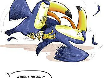 Mal estar no ninho dos Tucanos!!!