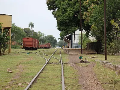 Vereador sugere audiência pública sobre reativação da ferrovia no Pantanal