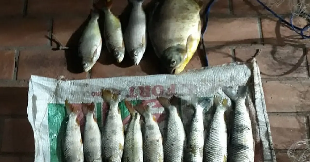 Pescadores são multados em R$ 4 mil por pesca predatória