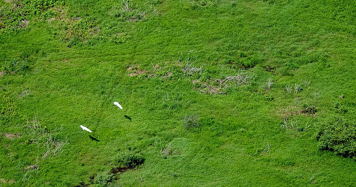 Corumbá cria Declaração de Dispensa de Licenciamento Ambiental