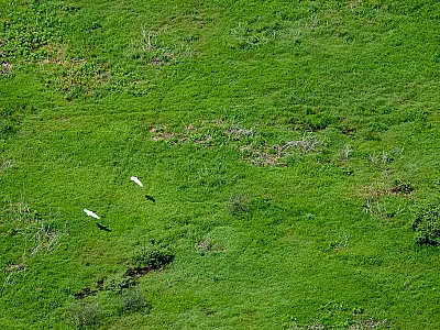 Corumbá cria Declaração de Dispensa de Licenciamento Ambiental