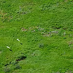 Corumbá cria Declaração de Dispensa de Licenciamento Ambiental