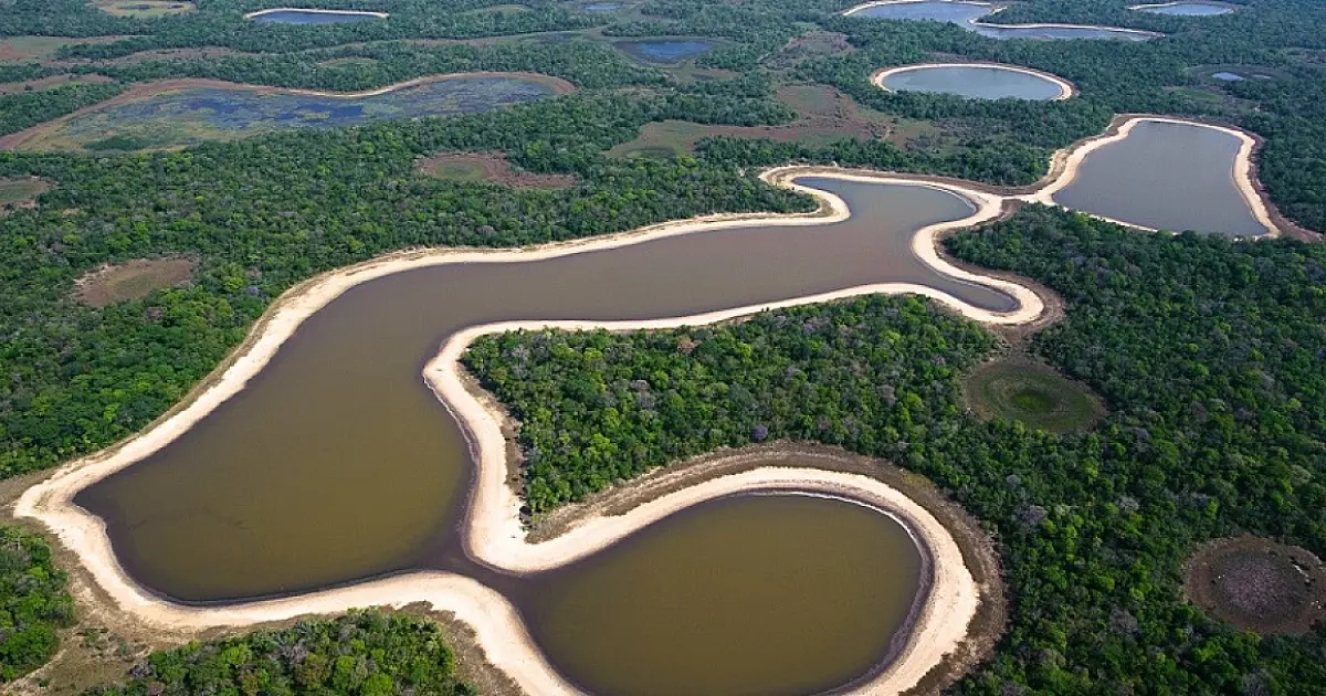 Troco Solidário em mercados na Capital vai ajudar Instituto SOS Pantanal