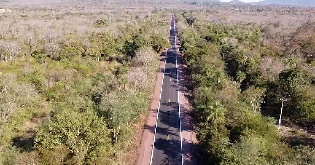 Projeto de Lei propõe nomear trecho da BR 262 como "Rota do Pantanal"