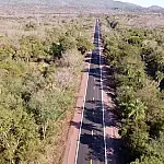 Projeto de Lei propõe nomear trecho da BR 262 como "Rota do Pantanal"