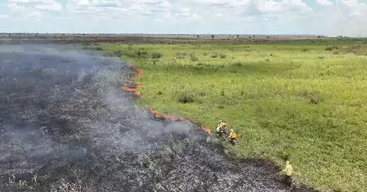 Seminário antecipa soluções de enfrentamento e prevenção a incêndios