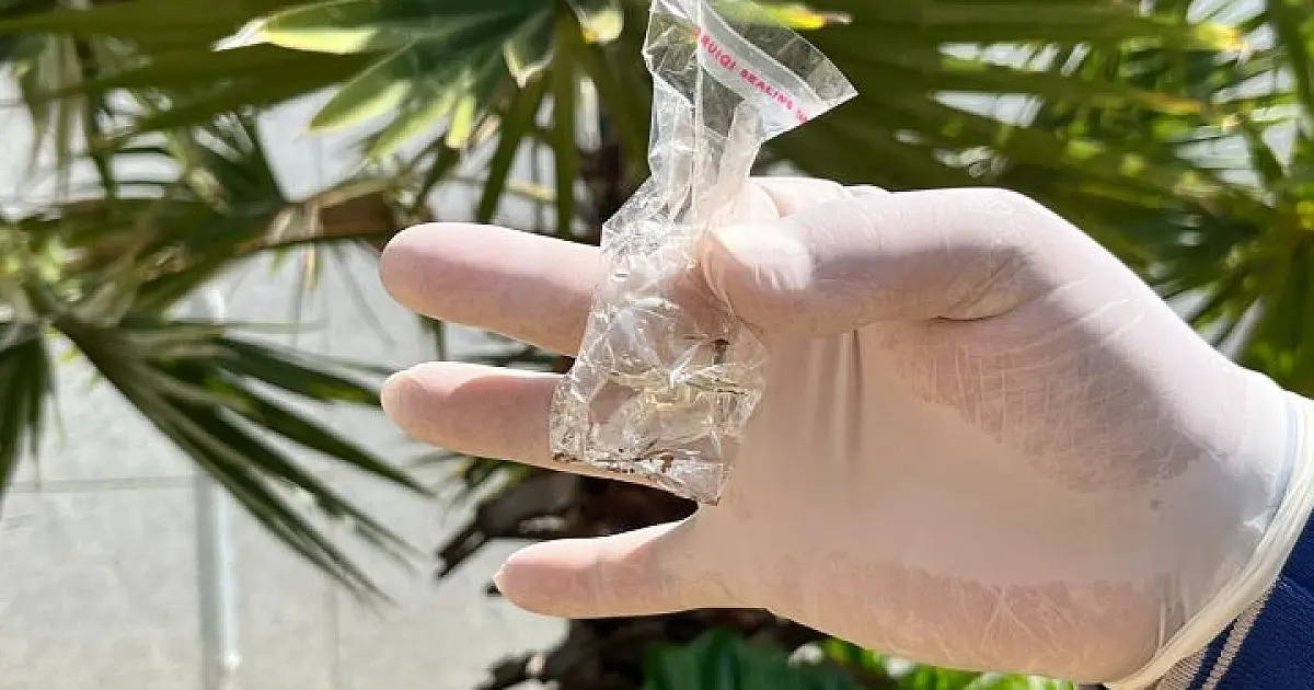 MS registra 8.384 casos confirmados de dengue