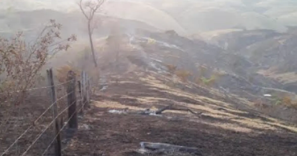 Assentamento é multado em R$ 60 mil por incêndio no Pantanal