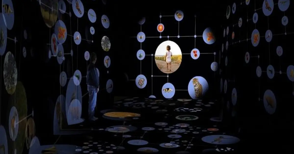 Museu da Biodiversidade vai surpreender visitantes com passeio 3D pelo Pantanal
