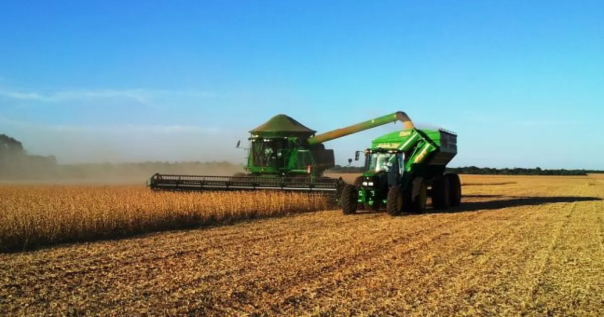 PIB cresce em MS e avanço do agro espalha riqueza entre os municípios