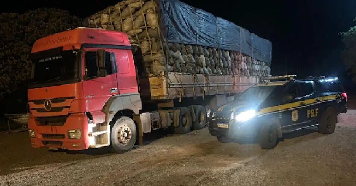 Homem recebe multa de R$ 33 mil por transporte de carvão ilegal apreendido pela PRF