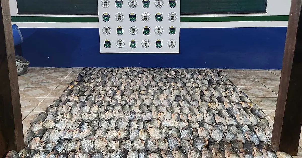 PMA apreende 188 kg de pescado durante o Carnaval