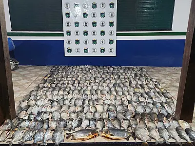PMA apreende 188 kg de pescado durante o Carnaval