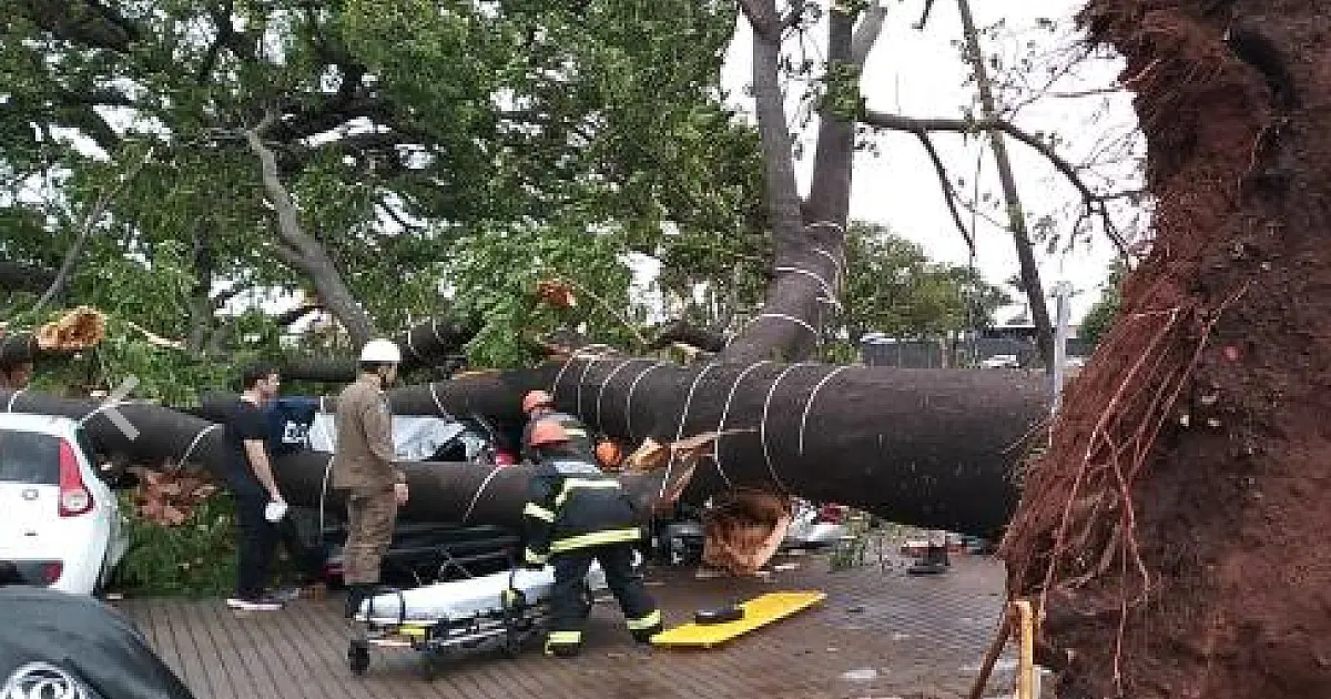 Tempestade de areia: Energisa recebeu 4 mil chamados em Campo Grande