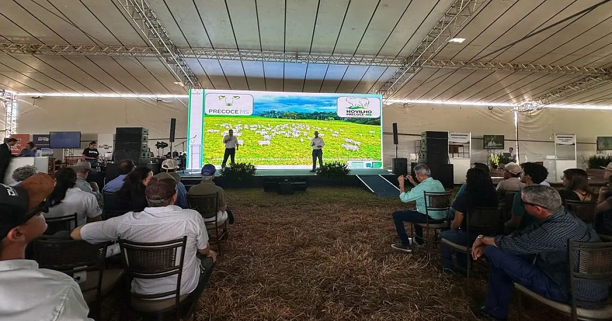 Abate de novilhos cresceu 112% nos últimos anos em Mato Grosso do Sul