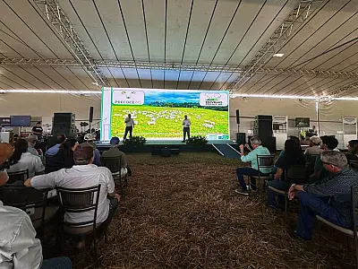 Abate de novilhos cresceu 112% nos últimos anos em Mato Grosso do Sul