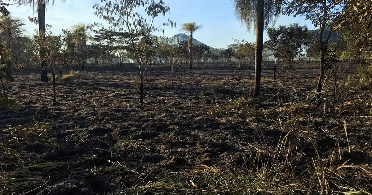 Incêndio florestal destrói três lotes do assentamento São Gabriel