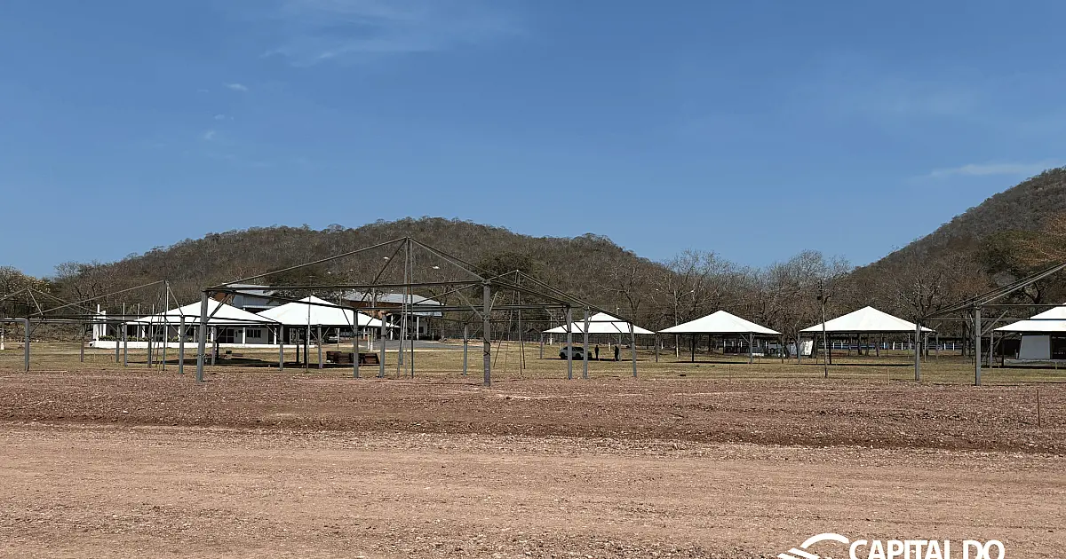 Feapan 2025 destaca pecuária sustentável e cultura pantaneira