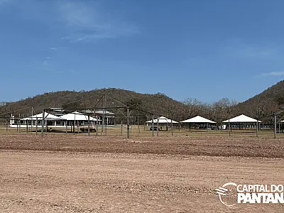 Feapan 2025 destaca pecuária sustentável e cultura pantaneira