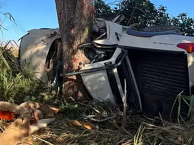 Caminhonete colide com árvore e deixa três mortos em estrada vicinal