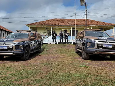 Operação Falcão recupera gado, conduz autores e apreende contrabandos