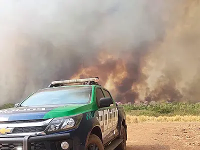 Operação Focus combate queimadas ilegais e autua infratores em MS