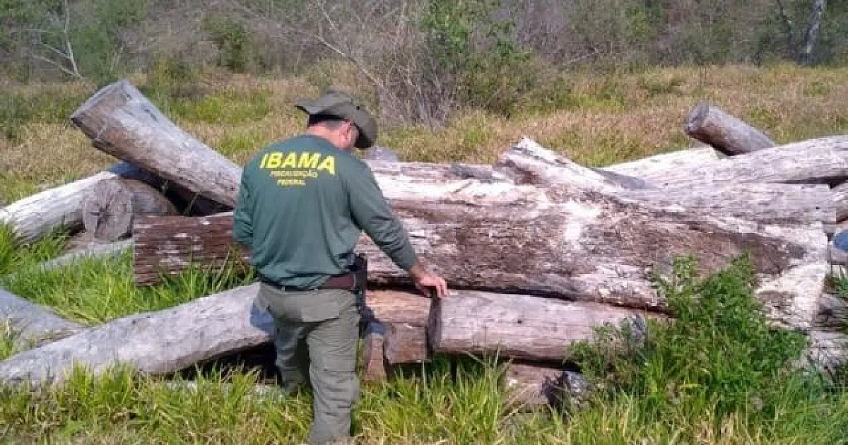 Pressão do TCU aumenta fiscalização no Pantanal e gera multas de R$ 4,7 milhões
